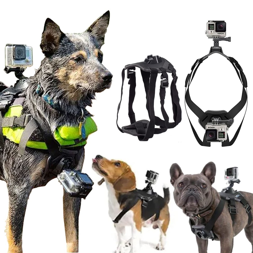 

Adjustable Fetch Dog band for Gopro hero 12 11 10 9 8 7 6 5 4 Dog harness Chest Belt Strap Sports