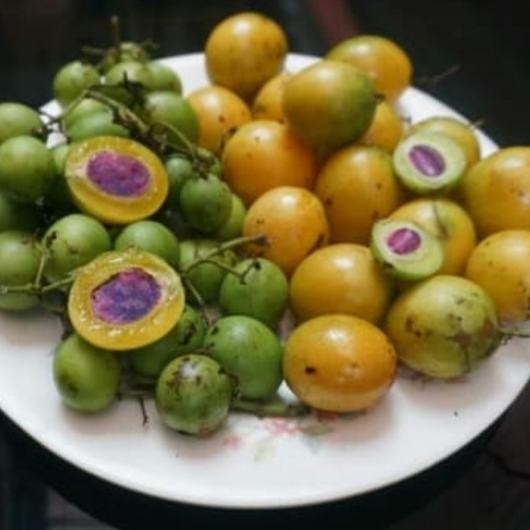 

ASLI Buah Langka Gandaria Buah Jatake Buah Jadoel READY STOCK