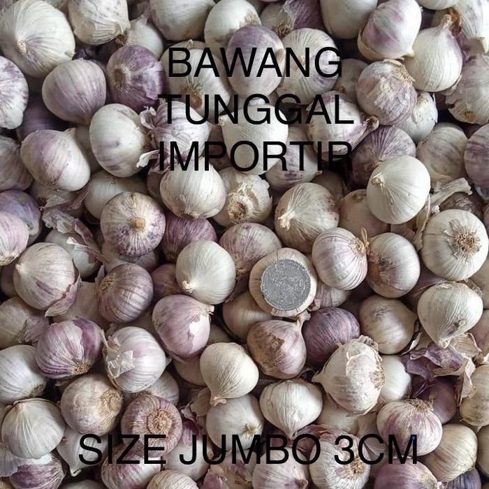 

BAWANG PUTIH TUNGGAL IMPOR JUMBO