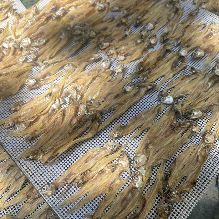Dehydrated anchovies cemilan anjing kucing teri kering treats