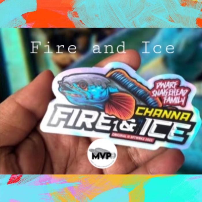 

Sticker Fire and Ice 10-12cm