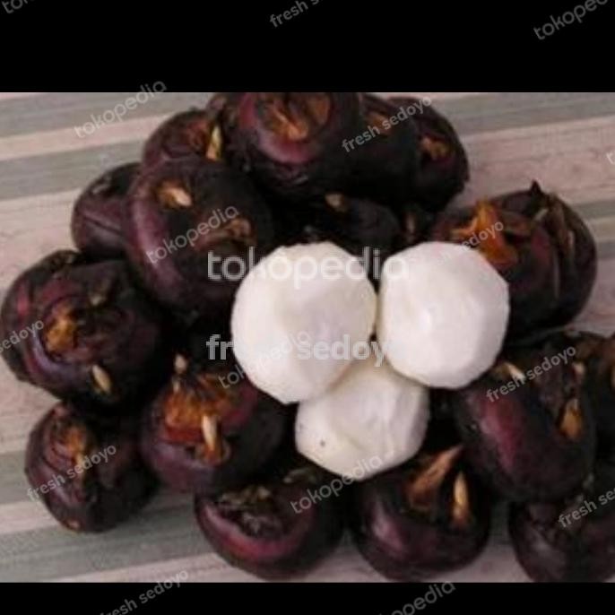 

Fresh Water Chestnuts 1Kg / Chinese Water Chestnuts Segar