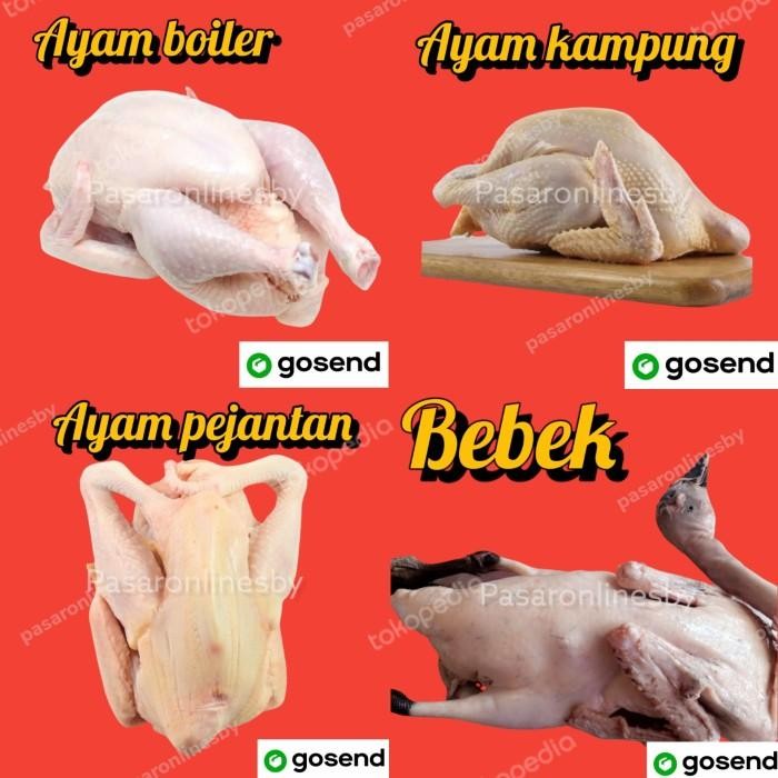 

(Allthebest) PASAR GUBENG - Ayam boiler/kampung/pejantan/bebek per ekor