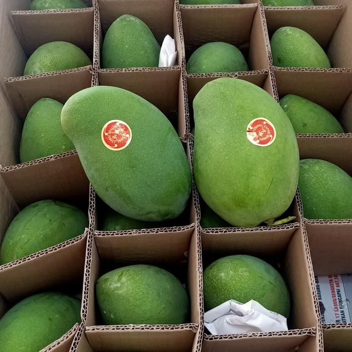 

ASLI mangga alpukat harum manis SUPER 12kg READY STOCK