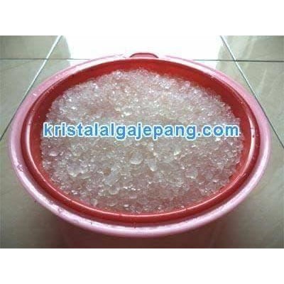 Kristal Alga Jepang / Bibit Water Kefir 100Gram