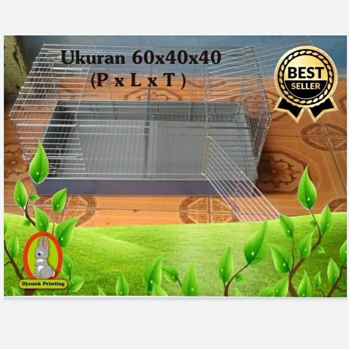 kandang kelinci galvanis