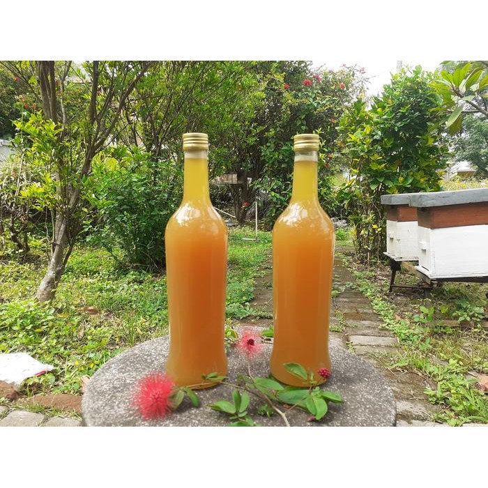 

Madu murni bunga kaliandra 600ml