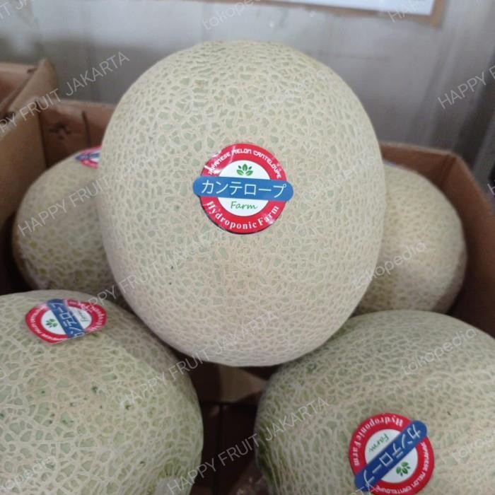 

ORIGINAL Melon cantaloupe jepang Bogatani daging oren melon bogatani manis READY STOCK