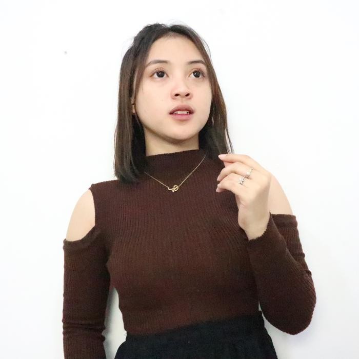 Turtleneck Knit Rajut Lengan Panjang Wanita Kaos Kerah Tinggi Style Korea Baju Fit