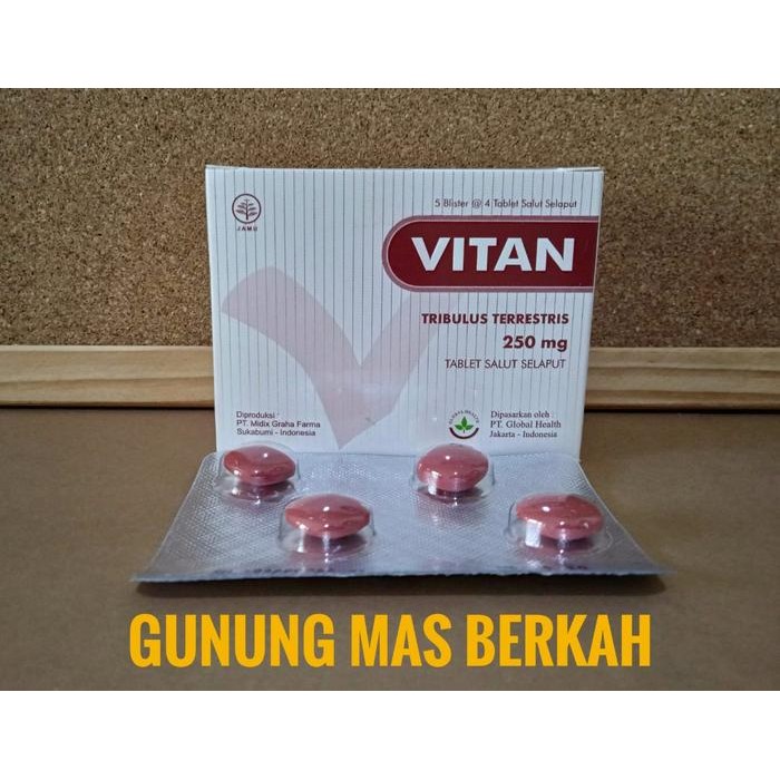 

READY VITAN 250MG SUPLEMEN KESEHATAN TUBUH - VITAMIN TERBAIK