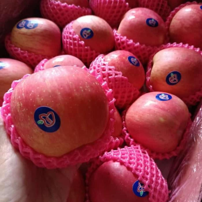 

DISKON Apel Fuji 1 Kg READY STOCK