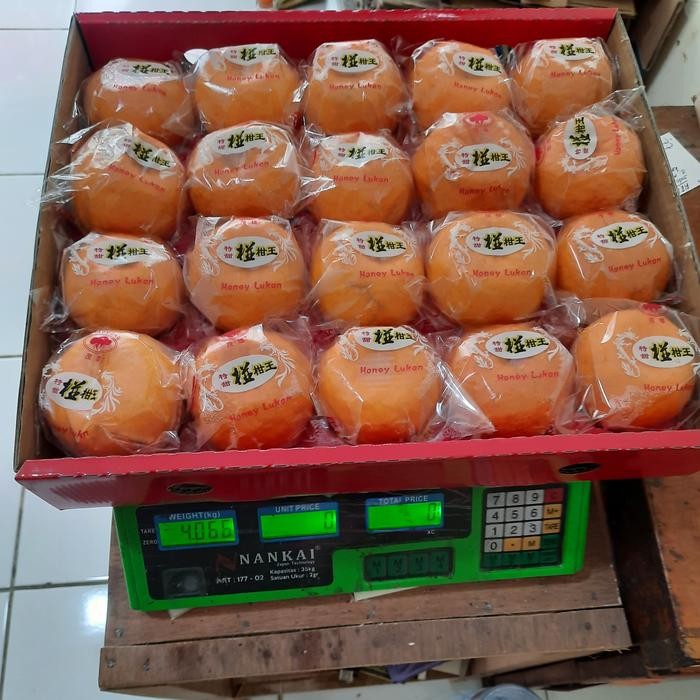 

TERMURAH jeruk mandarin ponkam edisi 20 /1 dus READY STOCK