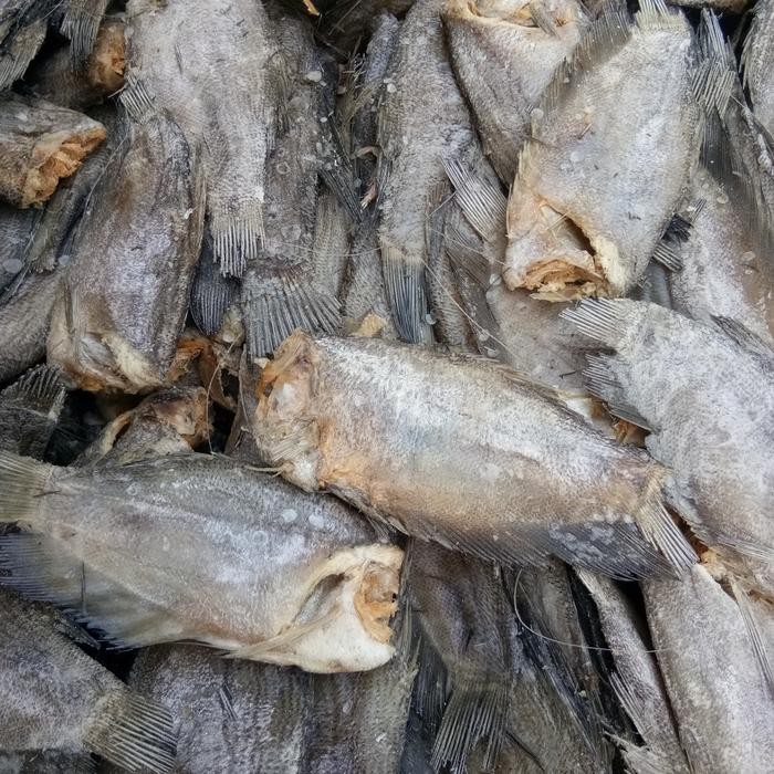 

Jual Ikan Asin Sepat Fresh Terlaris