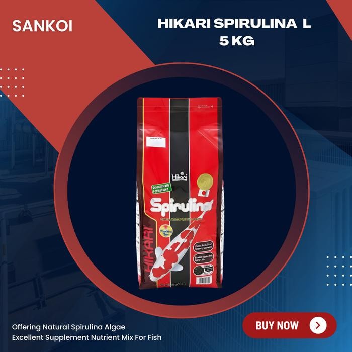 

Hikari Spirulina L Large Repack 500 Gr Best Quality Asli 100% Original