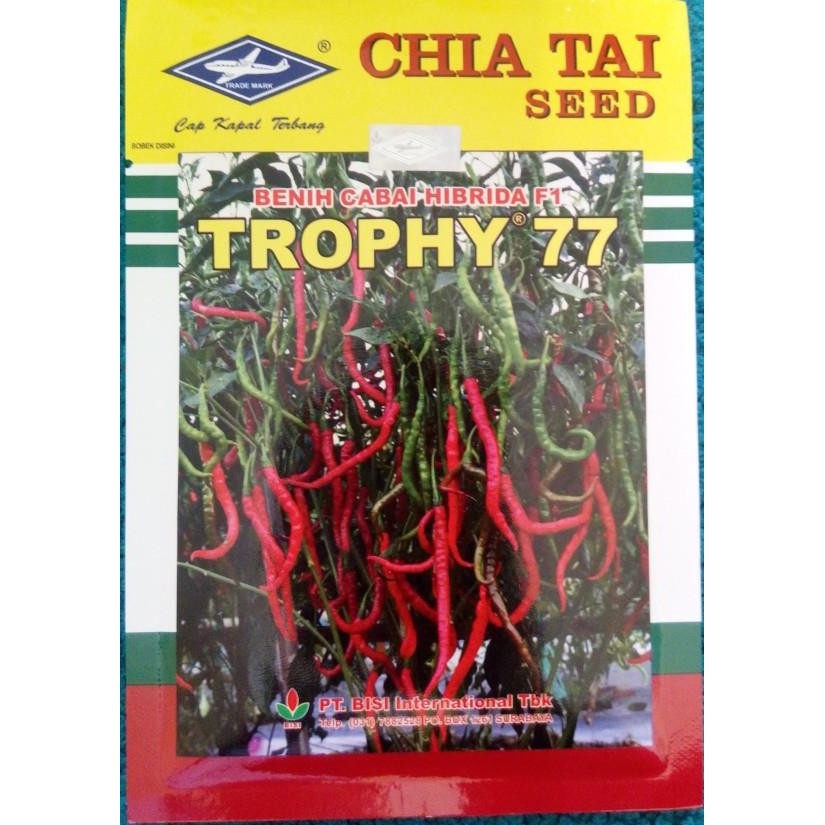 (Allthebest) BENIH CABAI KERITING HIBRIDA TROPHY 77