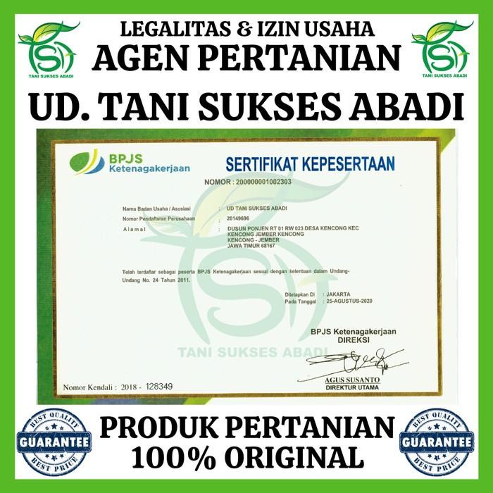 (Allthebest) Benih AMELIA F1 (360 Biji) - Bibit Semangka Non Biji Cap Panah Merah