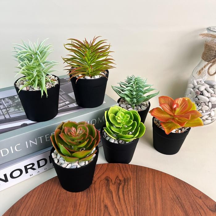 KAKTUS HIAS MINI PLASTIK TANGKAI TANPA POT ARTIFICIAL ORNAMEN DEKORASI RUANGAN