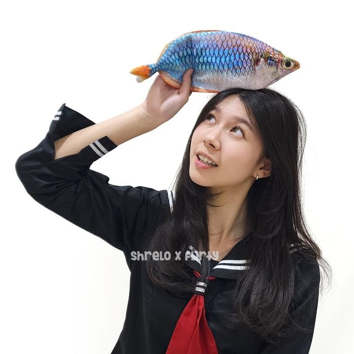 

Tempat Pensil Rainbow Fish Shrelo Favorit Penggemar Ikan Hias Akuarium Mancing Konten Kreator Kreasi