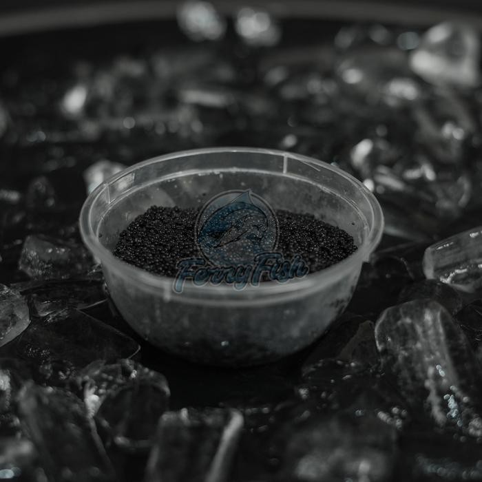 

Diskon! Promo Tobiko Black Caviar 100G - Telur Ikan Hitam Premium