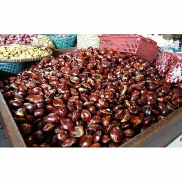 

Diskon! Promo Jengkol Jengki Segar 500Gr Bahan Masak Fresh