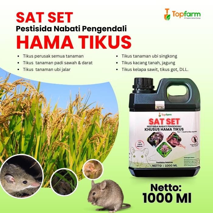 Original Pengusir Tikus Sawah Cair Hama Padi