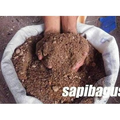 Konsentrat Pakan Sapi Kambing Domba Babi 50Kg Berkualitas