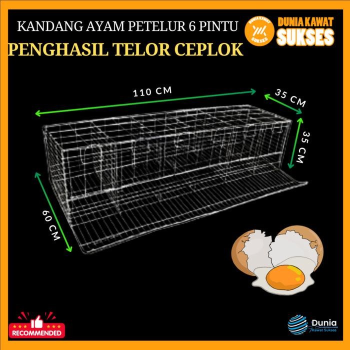 Kandang Ayam Petelur 6 Pintu