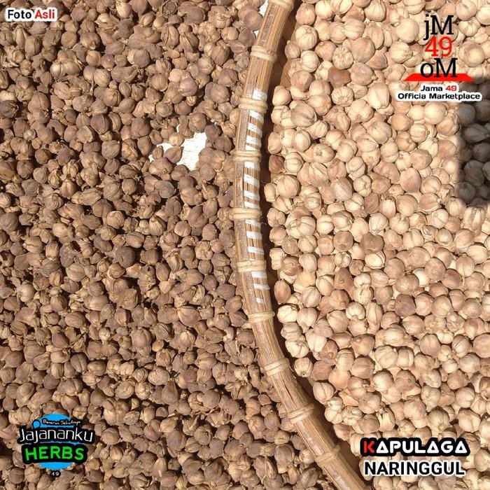

1kg Kapulaga Kering Kapol Jawa Alami Bersih Tanpa Ampas dan Pemutih Kimia Best Quality Cardamom Java