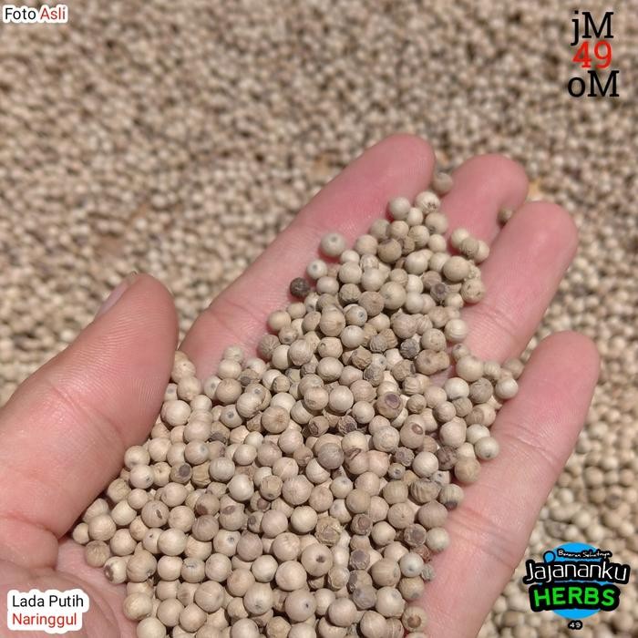 

1Kg Lada Putih Biji Utuh Warna Cerah Putih Alami Pedes Lada Spices