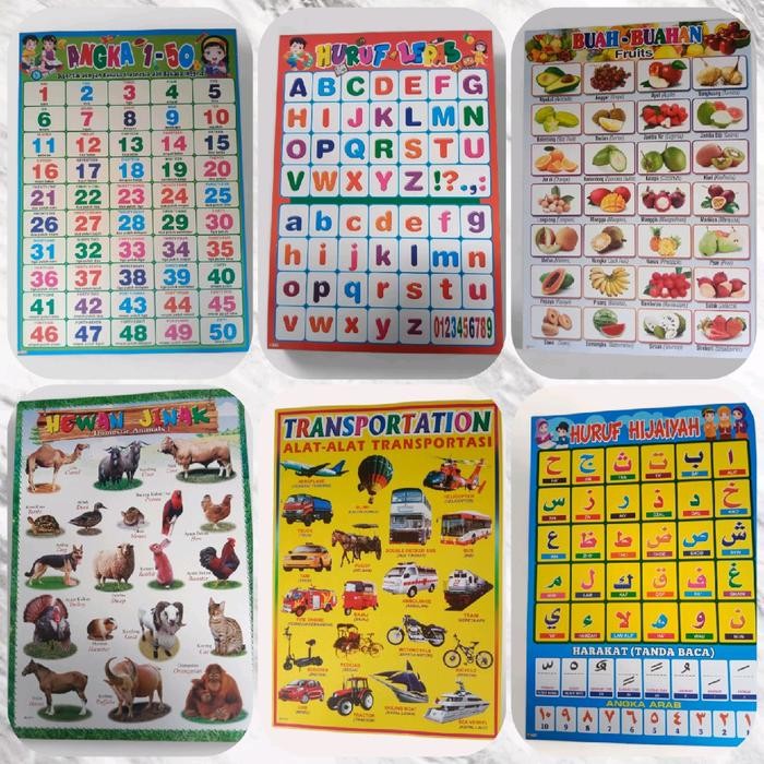 

New Paket 6 Lembar Poster Edukasi Anak Huruf Lepas, Angka 1-50, Buah-buahan, Hewan, Transportasi,
