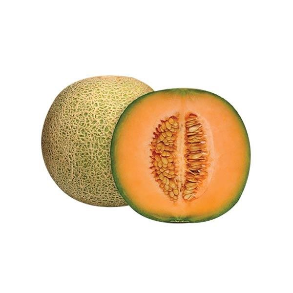

DISKON BUAH ROCK MELON 2200-2300 GRAM READY STOCK