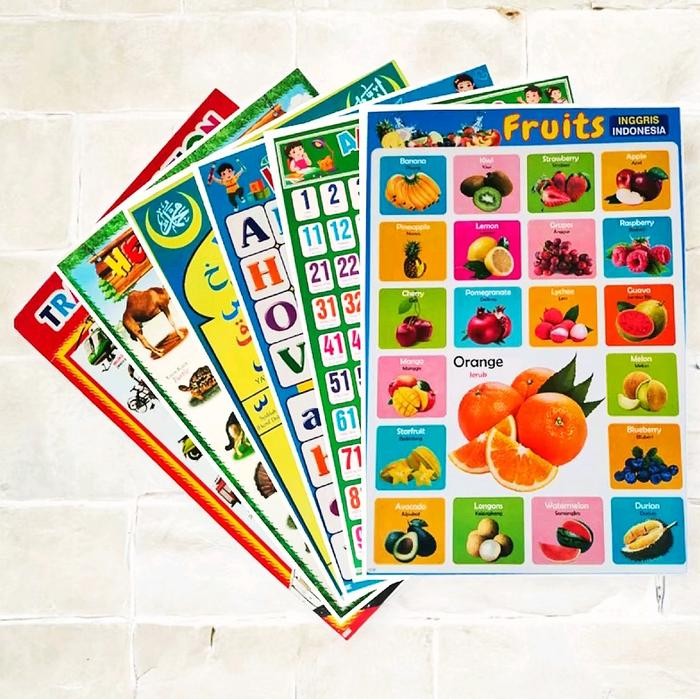 

New Paket 6 Poster Edukasi / Hurup / Angka / Hewan / Buah / Hijaiyah / Transfortasi Paud