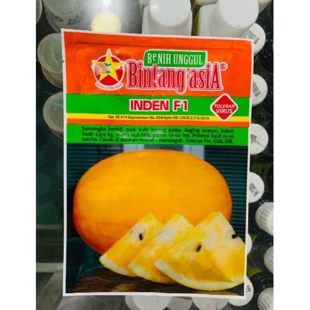 Benih Semangka Golden - Biji Semangka Kuning - Semangka INDEN F1