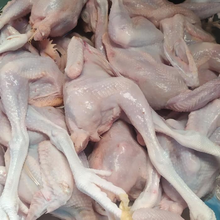 

Baru Ayam Mentah Pejantan 1 Ekor Fresh Halal Bersih