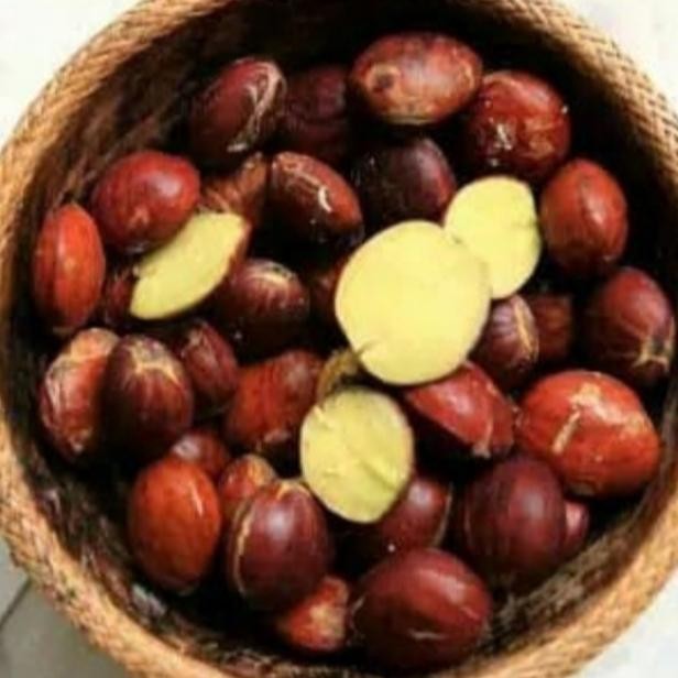 

Baru Jengkol Tua 250gr - Jengkol Kering Siap Masak