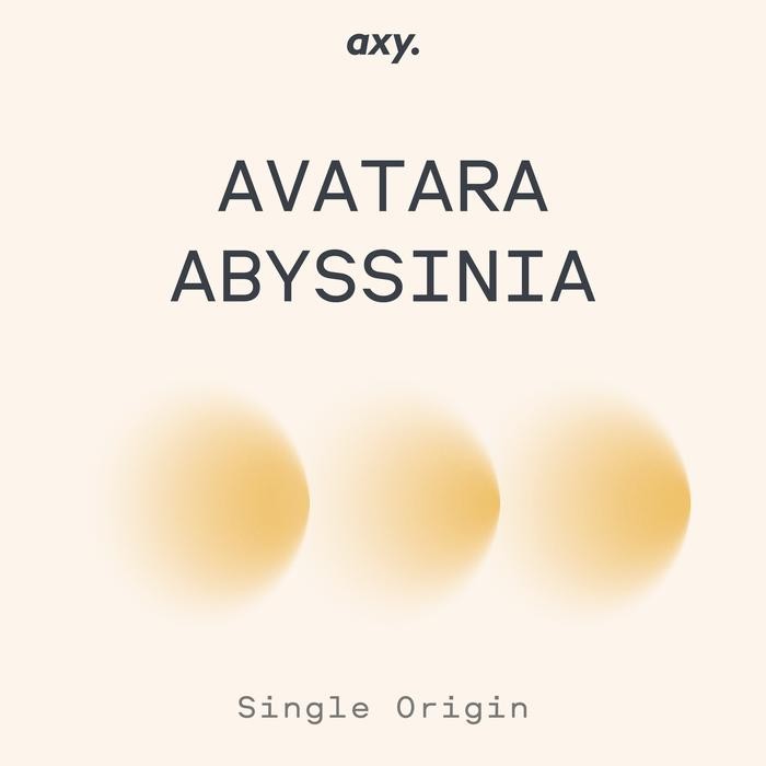 

ESPRESSO GAYO AVATARA ABYSSINIA NATURAL - BIJI KOPI ARABIKA