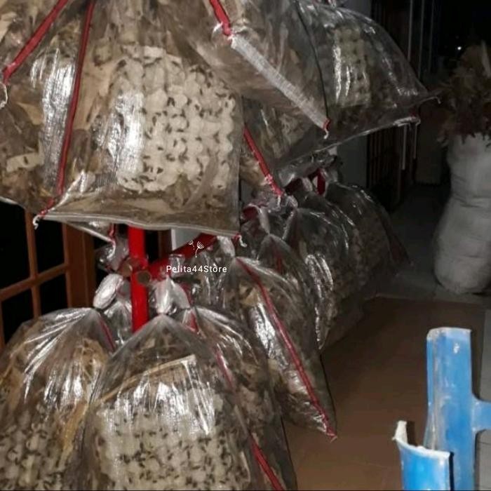 

Jangkrik Alam Ternak Ukuran 1Kg Per Karung Good Quality