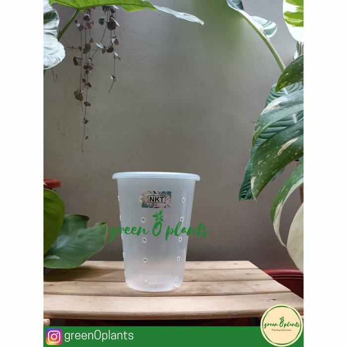 Pot Nkt 15 Bening Berlubang