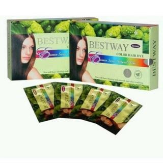 BESTWAY COLOR HAIR DYE NONI BSY Cat Rambut Bestway BSY Hair ColorBrown