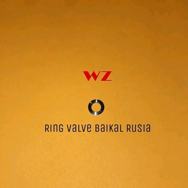 Ring Valve Baikal