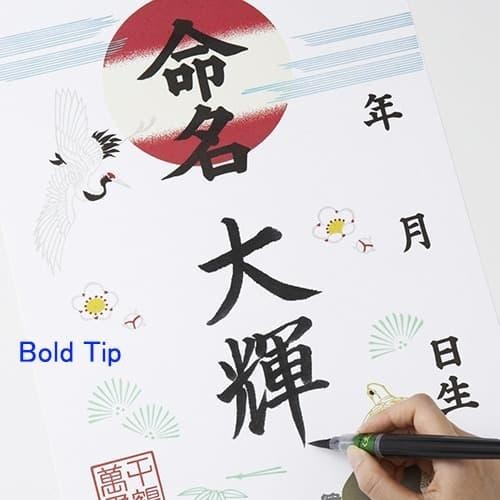 

Id 20769 Pentel Standard Brush Pen - Xfl2B For Bold Tip