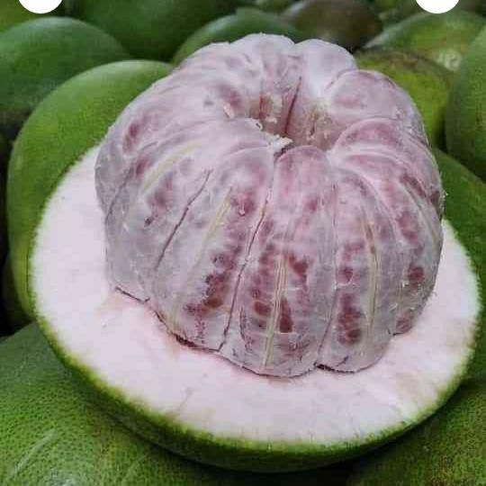 

NATURE- Jeruk Bali Madu Merah