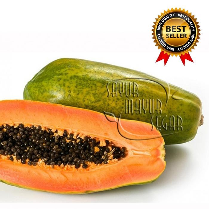 

NATURE- Pepaya Bangkok Super "Segar Dan Manis