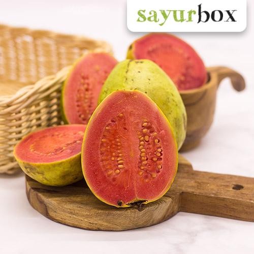 

NATURE- Jambu Biji Merah - Red Guava - 500 Gr (Sayurbox)
