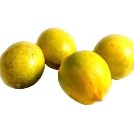

NATURE- Jeruk Lemon Lokal