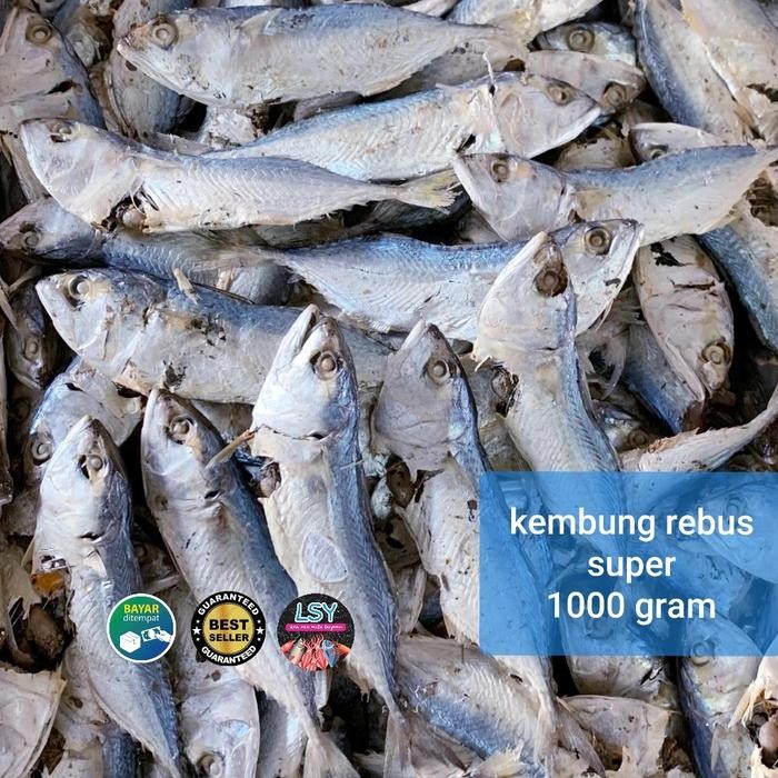 

Siap Kirim Ikan Asin Kembung Rebus 1Kg - Segar & Gurih Shopee