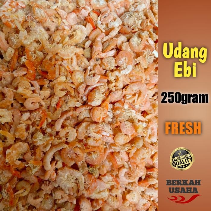

Siap Kirim Ikan Asin Udang Ebi Kupas Kering 250g - Shopee