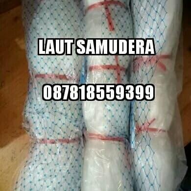 MURAH jaring 2 1/4 inch 0,28 (70/80) Tate