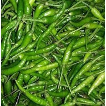 

LUXEHEALTH- Cabai Rawit Hijau