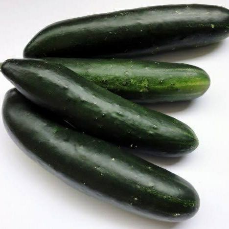 

LUXEHEALTH- Kyuri/Timun Jepang 500 Gr